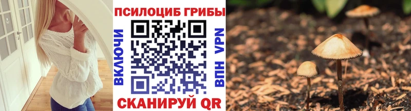 Галлюциногенные грибы Magic Shrooms Белокуриха